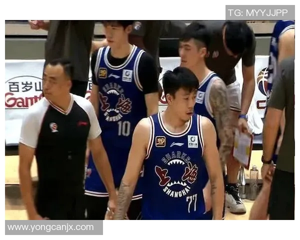 张镇麟的篮球之路：从青涩少年到CBA明星的成长历程与奋斗故事